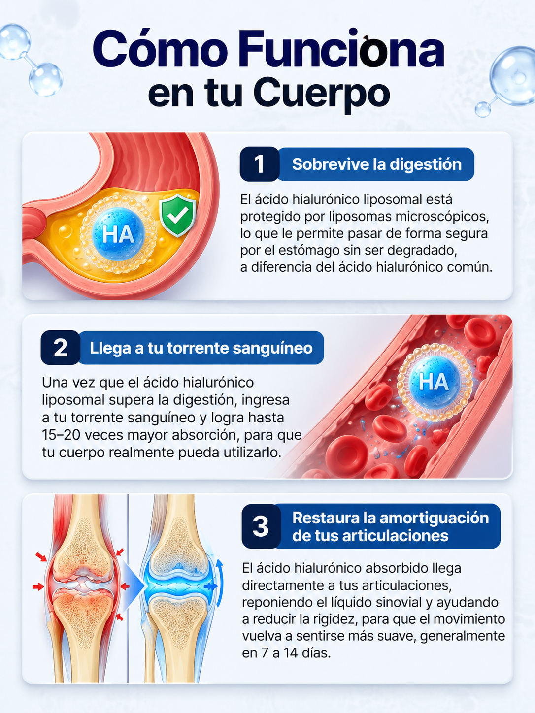 LYNVIA® Ácido Hialurónico Liposomal — 60 Cápsulas