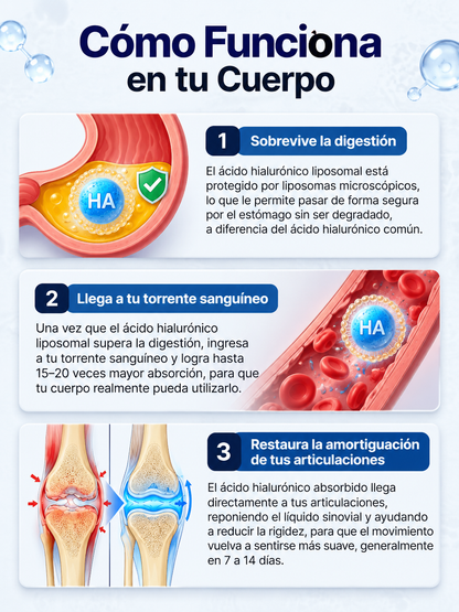 LYNVIA® Ácido Hialurónico Liposomal — 60 Cápsulas